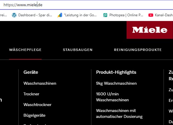Sticky Password Schritt 1